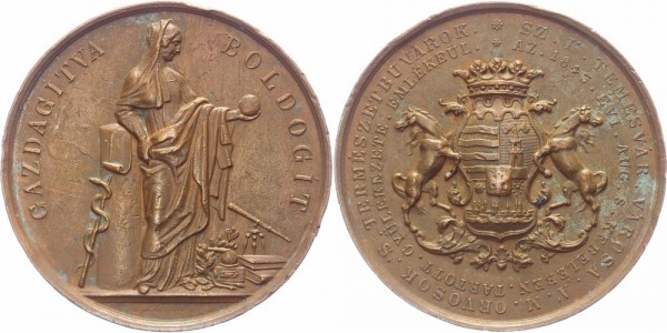 Ungarn-Siebenbürgen Medaille 1843 Temesvar Versammlung ungarischer Ärzte und Naturforscher, von Jose